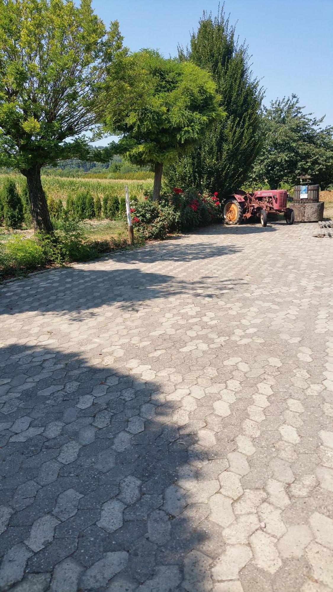Ferienwohnung Rombachs Spatzennest Herbolzheim Exteriör bild